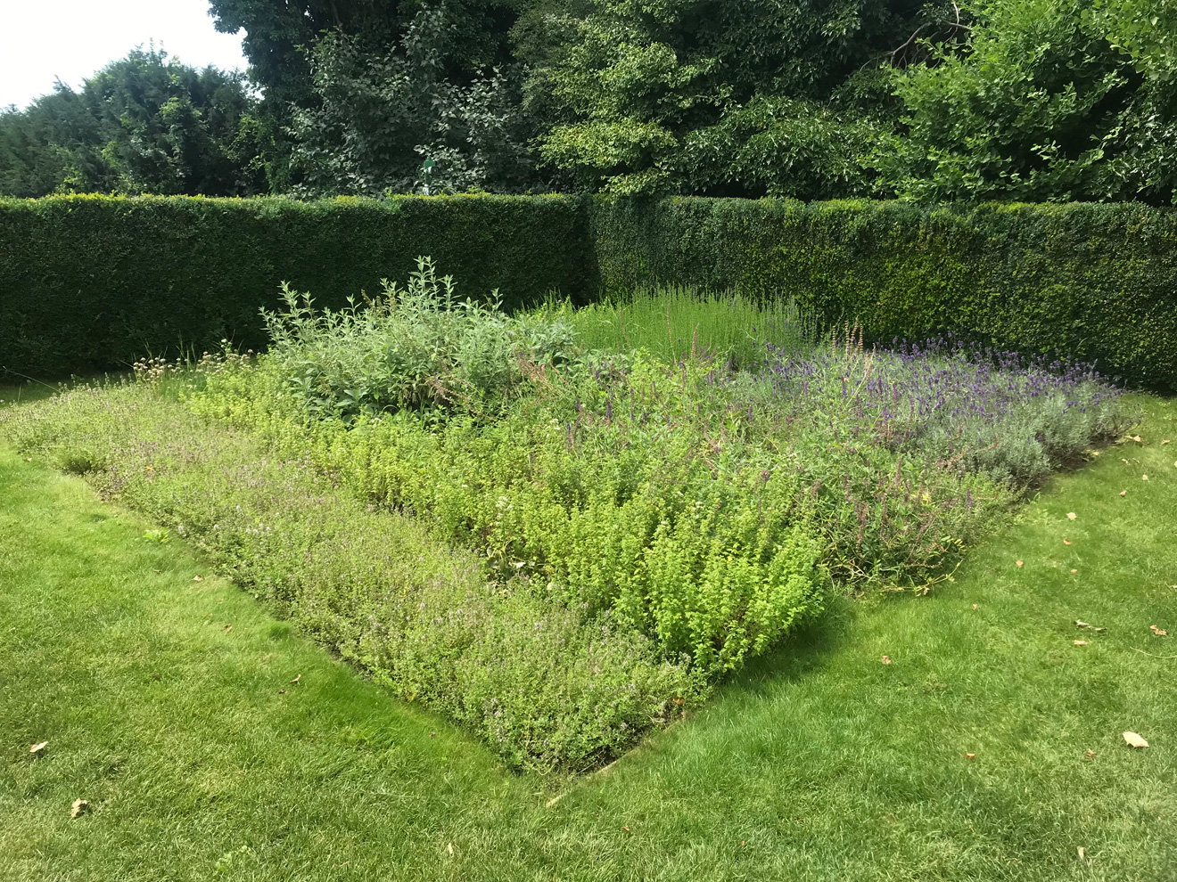 Villa Tugendhat (C) Frieder Schnock - Berlin