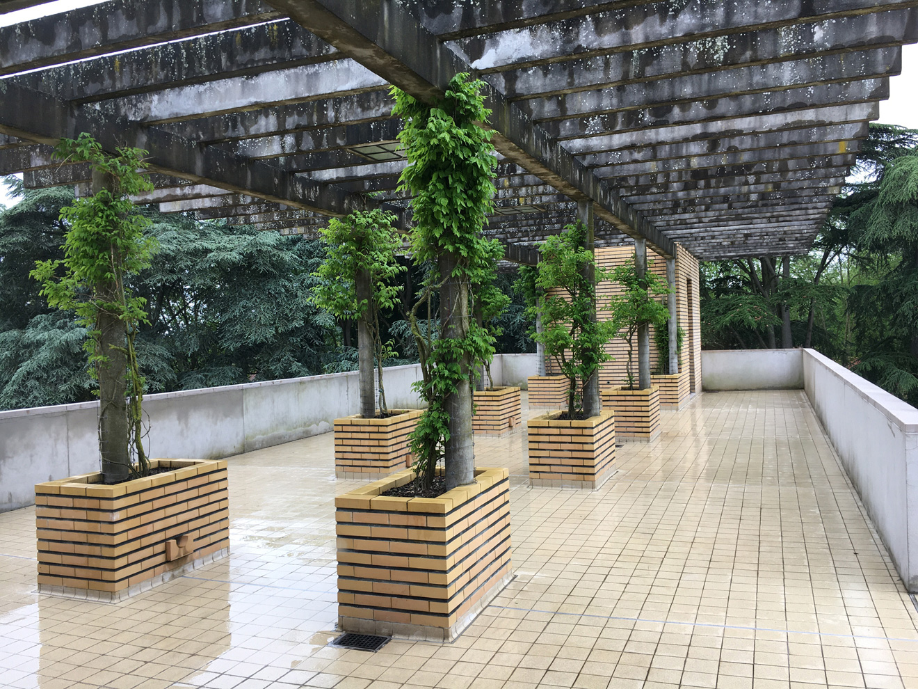 Villa Cavrois (c) Frieder Schnock - Berlin