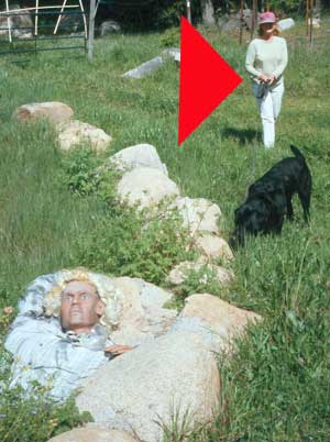 Dagny looking for golf balls